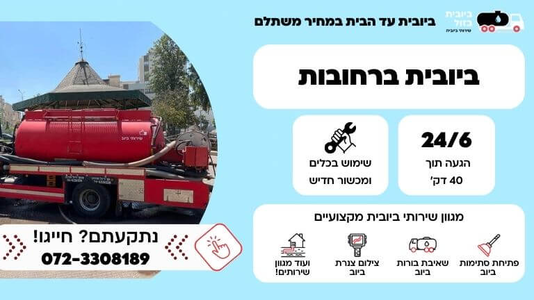 ביובית ברחובות